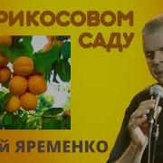 Исполняет Авторсергей Яременко В Абрикосовом Саду