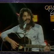 Wild World Cat Stevens