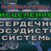 Матрица Гаряева Коррекция Сердечно Сосудистой Системы