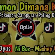 Dj Pokemon