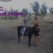Vlog Конная Ферма Белая Подкова