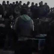 Боборажаб Индийский Песни