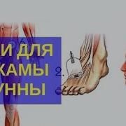 Точки Для Хиджамы Из Сунны Обучение Хиджаме