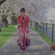 Anime Music Kimono Dance By Yao Ren Mao 咬人猫