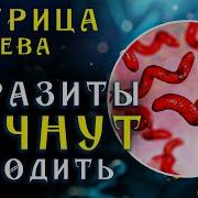 Всего 5 Минут В День И Вы Избавитесь От Паразитов Матрица Гаряева Антипаразитарная