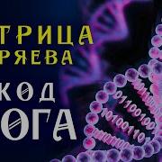 Мужская Линия Матрица Гаряева