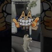 Колонка Алиса Включи Любимую Музыку