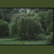 Willow Tree Slow