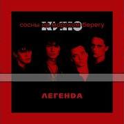 Сосны На Морском Берегу Кино Караоке