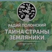 Тайна Страны Земляники Аудиосказка