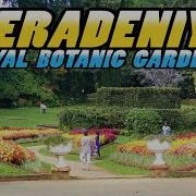 Peradeniya Royal Botanic Gardens Sri Lanka 4K