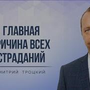 Троицкий Дмитрий