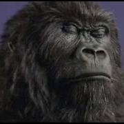 Cadburys Dairy Milk Gorilla Advert