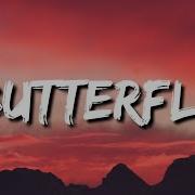 Butterfly Tiktok