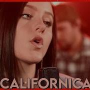 Red Hot Chilli Peppers Californication Cover