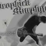 Dropkick Murphys Dirty Glass