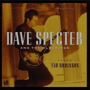 Dave Specter Blueplicity