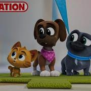 Puppy Dog Pals Lntro L Love You Baby