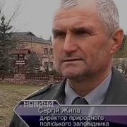 Синьогуб Поліський Заповідник