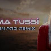 Elsen Pro Toma Tussi Tiktok Remix