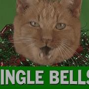 Jingle Bells Dogs Cats Sing