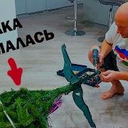 Масики Елка