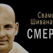 Свами Шивананда