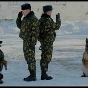 Памяти Пограничных Псов