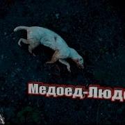 Far Cry 4 Медоед