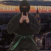 Боевые Мудры Мудры И Мантры Вьетнамских Ниндзя 5 Первоэлементов