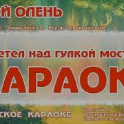 Karaoke Лесной Олень Караоке Mp4