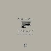 Slowed Канги Собака Я Хочу Найти Ту Самую Собаку