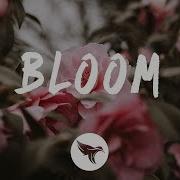 Bloom Feat Dia Frampton