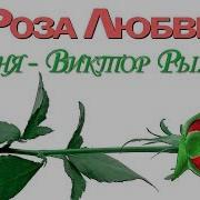 Всем Кто Любит Розы