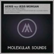 Aeris Feat Jess Morgan What Do You Feel