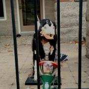 Baxter Animatronic Dog Halloween 2015