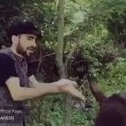 Ин Суруди Эронии Аввалин Бор Мешнавед
