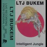 Ntelligent Jungle 1995 Ltj Bukem