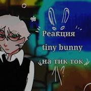 Tiny Bunny Rect To Tik Tok