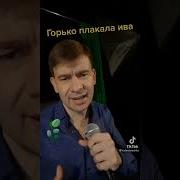 Роман Ефимов Горько Плакала Ива