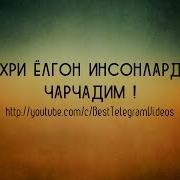 Мехри Ёлгон Инсонлардан Чарчадим
