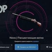 Возможно Ли Окупиться С 50 Рублей На Mycsgo Net 1