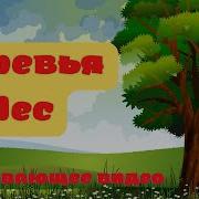 Дети На Деревьях