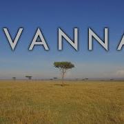 Savannas