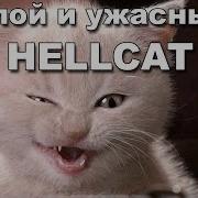 Hellcat Топовый Бой