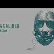 Running With The Lions Loving Caliber Feat Willow Lyrics 2010 Pop