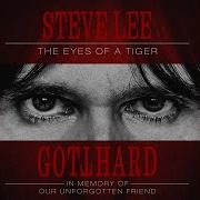 Gotthard Eye Of The Tiger Electric