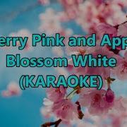 Cherry Pink Karaoke