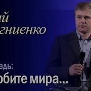 Юрий Стогниенко Не Любите Мира