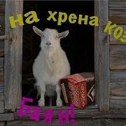 А На Хрена Козе Баян